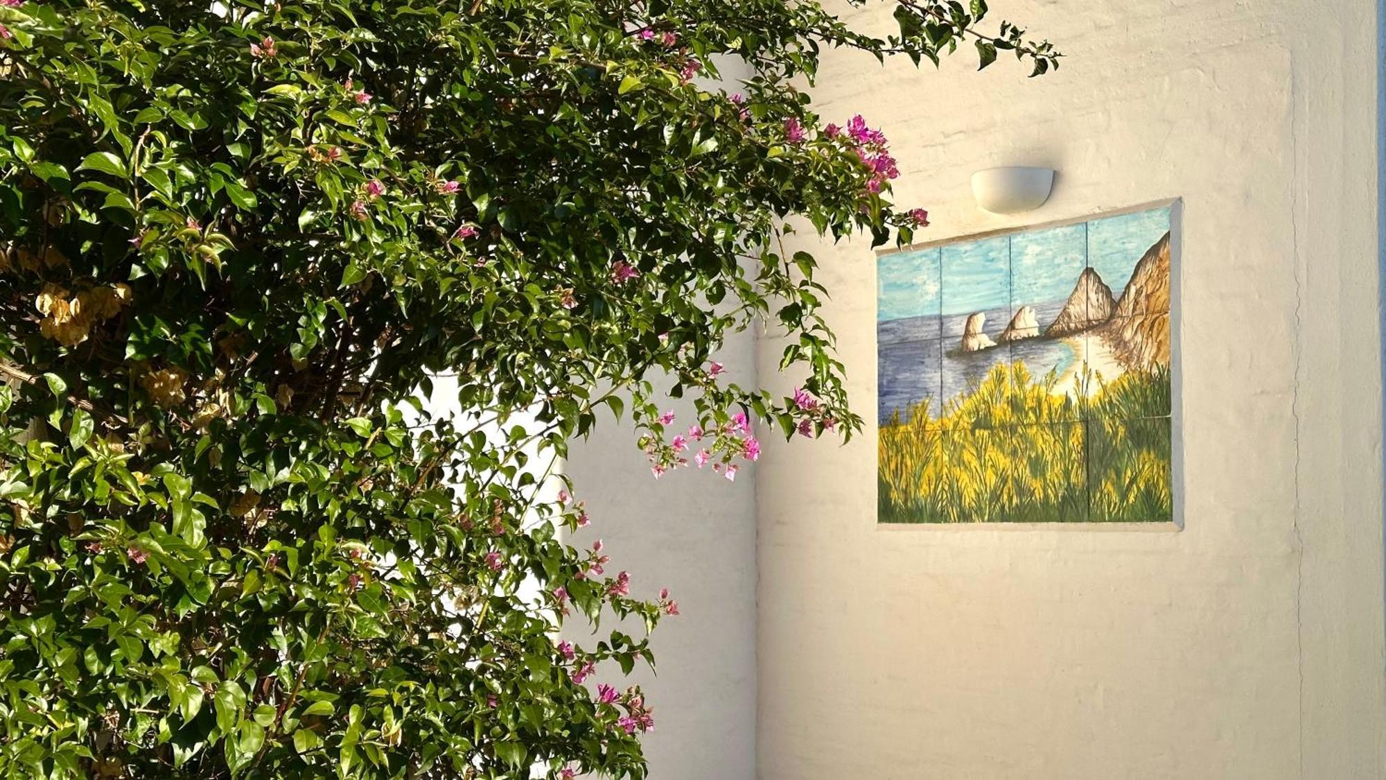 N207 - Numana, Deliziosa Villetta Con Giardino Exteriér fotografie